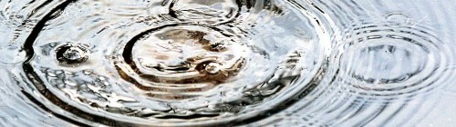 Giving Birth to Stepchildren Ripples-DavidNiblack